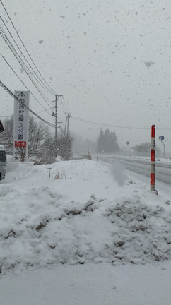 雪がの記事動画