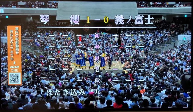 究極の・ポシェット探しを・終わらせる？：2026.01.11の記事動画