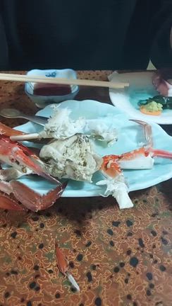生放送で真田ナオキさんファンの方々から頂いたコメントに「生コメント返し」させて頂きました‼️の記事動画