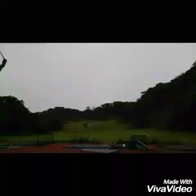 長いの振らせての画像