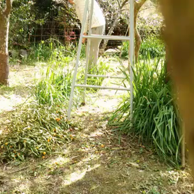 練習記録用の画像