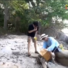 【Palit's Island 】EP.8の画像