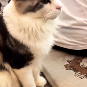 190907 Singto IGSの画像