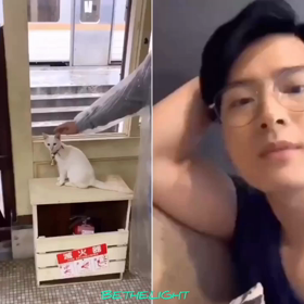 (=^ェ^=)の画像