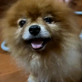 200609 Singto IGSの画像