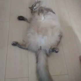 ビタミン補給。の画像