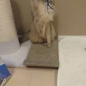 台風とか。の画像