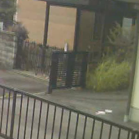 猫がTさん宅→Aさん宅→うち？行先分からずの画像