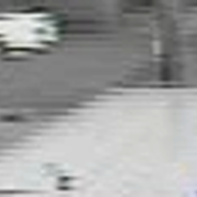 路上駐車している車のギリギリを散歩させてるの画像