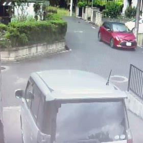 別のアングルの画像