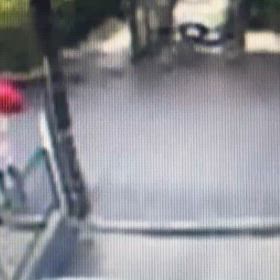 溝に何か捨てたか！　Σ('◉⌓◉’)の画像