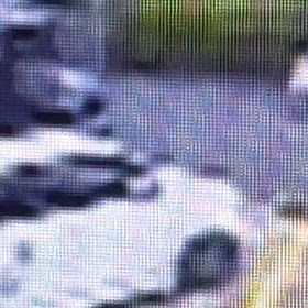 邪魔になってるの画像