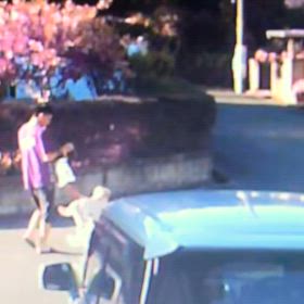 玄関前でフンをさせてた！Σ('◉⌓◉’)の画像