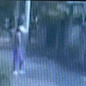 ２回連続て、クールダウン2周目なし。Σ('◉⌓◉’)の画像