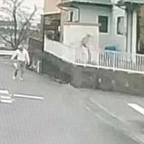 犬を抱き抱え逃げてた！　Σ('◉⌓◉’)の画像