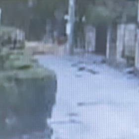 池回りに出て行った！の画像