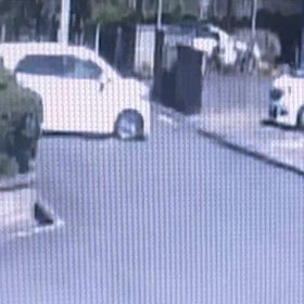 待たせてるのに、知らぬ顔　Σ('◉⌓◉’)の画像