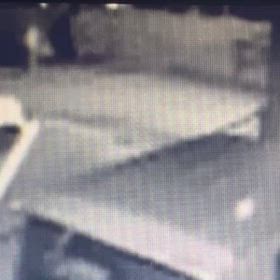 夫も！放して  散歩！　Σ('◉⌓◉’)の画像