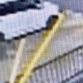 捨てたのを分からない様にしてるのかも。Σ('◉⌓◉’)の画像