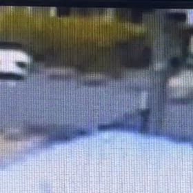 車庫から出てきてた　Σ('◉⌓◉’)の画像