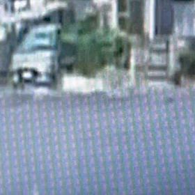 ピンポン押さずに音と気配で判断してる？！Σ('◉⌓◉’)の画像