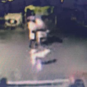 深夜に犬の散歩　Σ('◉⌓◉’)の画像