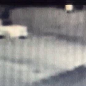 車庫から出てきて　Σ('◉⌓◉’)の画像