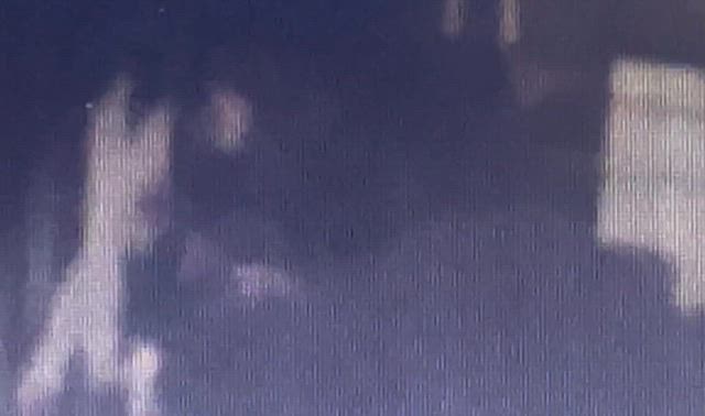 新聞取りにでたら、監視開始！の記事動画