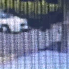 車庫から出てきて、また車庫に歩いて入って行ったの画像