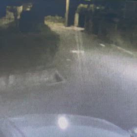 早朝にバケツで、市の管理地へ不法投棄の画像