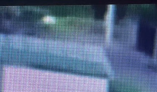 sさん不在につき、角地へ投棄！の記事動画