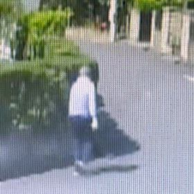 投棄3回目は、生垣の上に準備してから投棄の画像