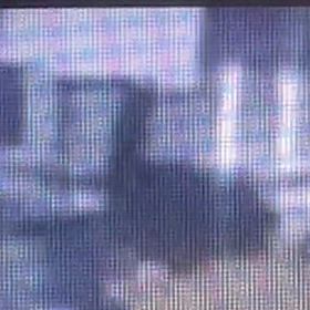 カーテンめくって、確認。今日は外出なし。Σ('◉⌓◉’)の画像