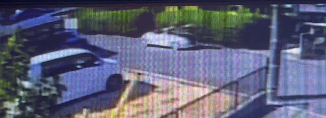邪魔になってるの記事動画