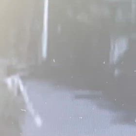 ちりとりの少しのものでも、外のは道込まなず投棄！の画像