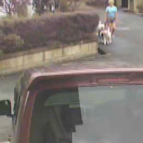 3頭の散歩が来た！玄関先とかお構い無し！の画像