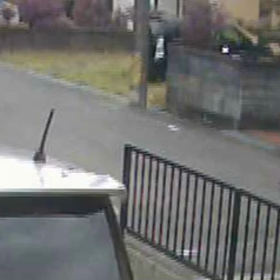 元自治会長の犬の散歩の画像