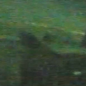 モビリオから出てきた？猫バンバンか？の画像