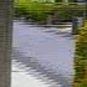 怪しいの画像