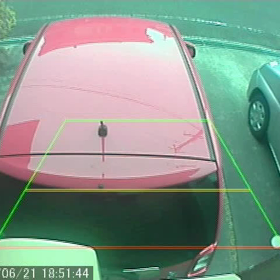 猫（西側へ逃げた続き）の画像