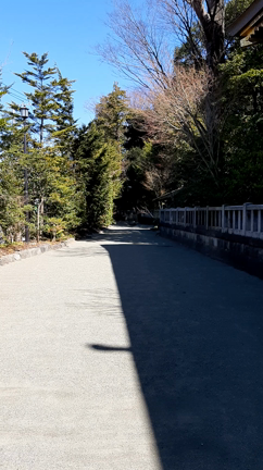 【寒川神社】神社の気のおすそわけ③神嶽山神苑～手水舎と難波の小池～の記事動画