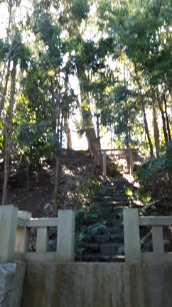 【寒川神社】神社の気のおすそわけ④神嶽山神苑～裏参拝所～の記事動画