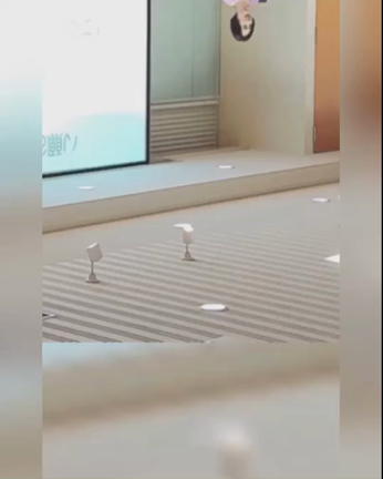 犬飼先生美容講演会の記事動画