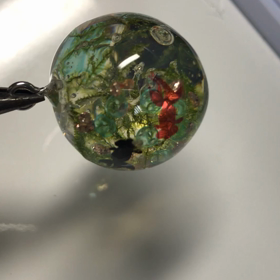 球体金魚パッカーんの画像