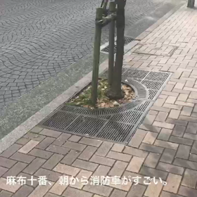 2歳5ヶ月12日目〜時間の感覚〜の画像