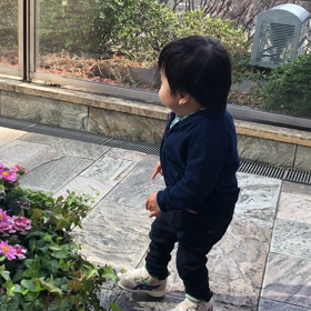 2歳3ヶ月28日目〜何回コケるのっ…。〜の画像