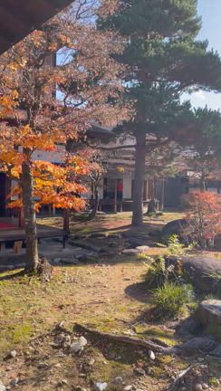日本への一時帰国という名の旅行…飛田高山編。小京都風の街並みが人気！の記事動画