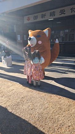 かけてみその記事動画