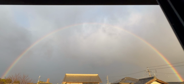 2024年　良い年であります様に...☺️の記事動画