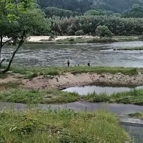 爆睡の画像